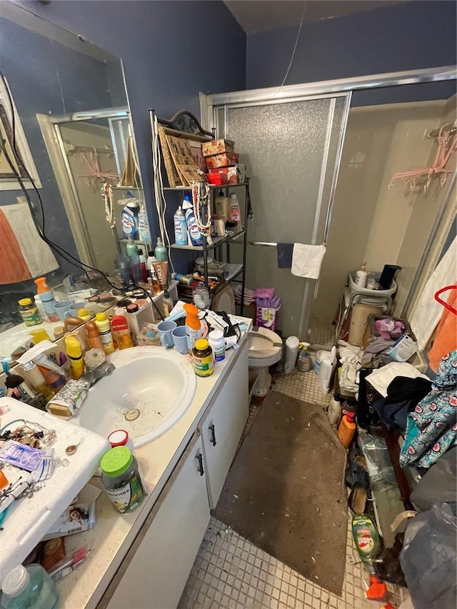 bathroom with vanity, toilet, and a shower with shower door