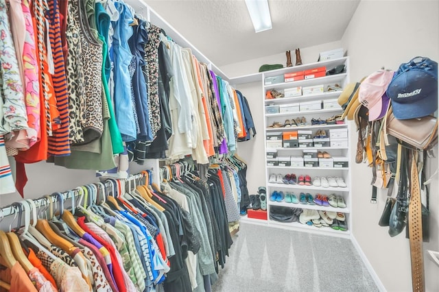 spacious closet featuring carpet