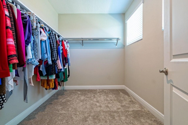 spacious closet featuring carpet flooring