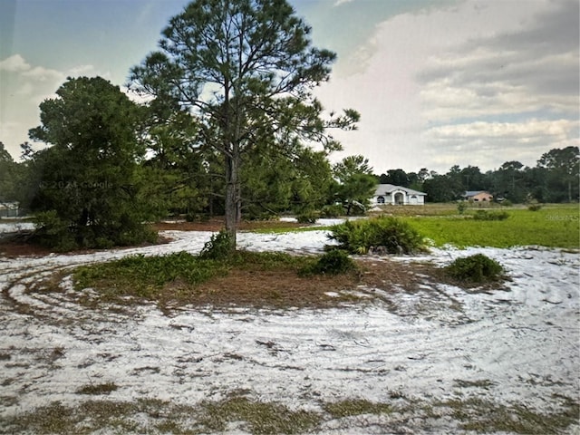 1021 Godetia St, Lake Placid FL, 33852 land for sale