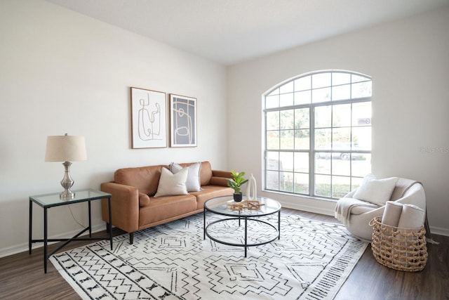 living room featuring wood-type flooring and plenty of natural light