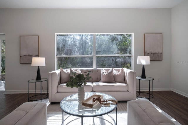 living room featuring hardwood / wood-style floors