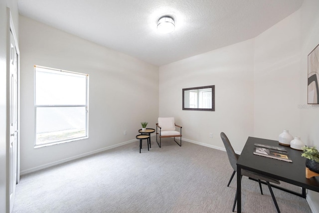 carpeted home office featuring a textured ceiling and a healthy amount of sunlight