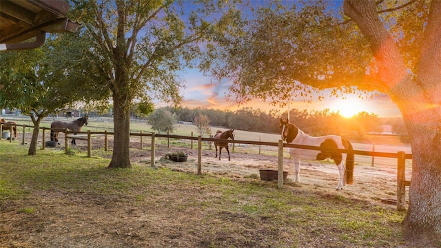 yard at dusk featuring a rural view