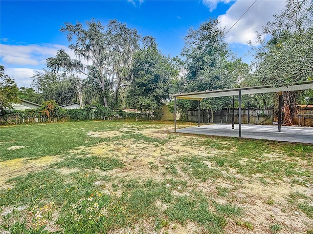 view of yard featuring a patio area