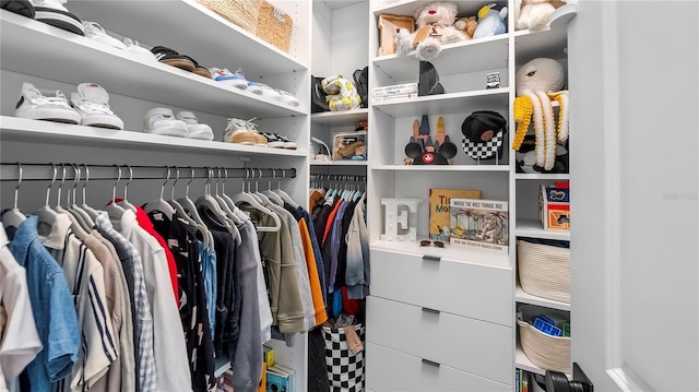 view of spacious closet