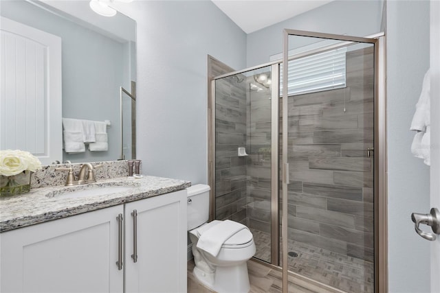 bathroom featuring vanity, an enclosed shower, and toilet