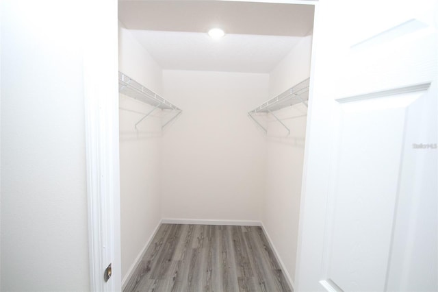 walk in closet featuring light wood-type flooring