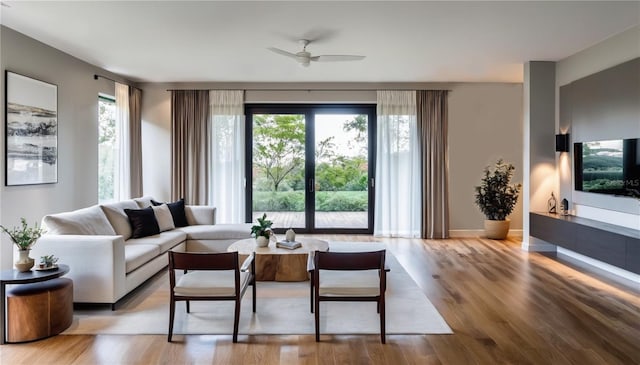 living room featuring ceiling fan and wood-type flooring