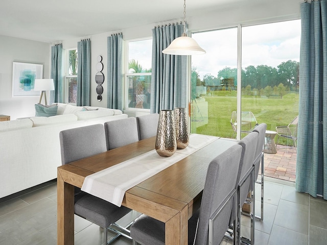 dining area with tile patterned flooring