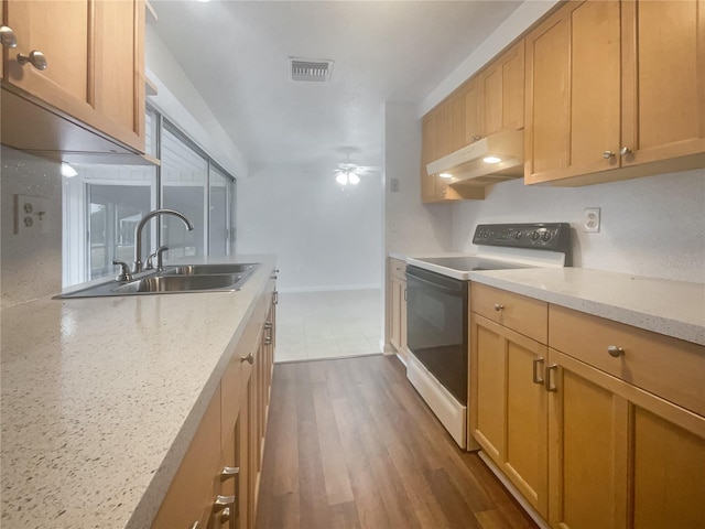 kitchen with sink, dark hardwood / wood-style flooring, ceiling fan, light stone counters, and electric stove