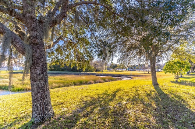 view of yard featuring a water view