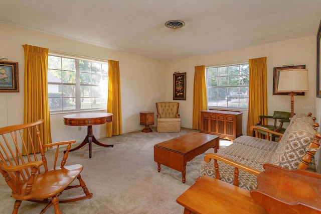 sitting room with carpet