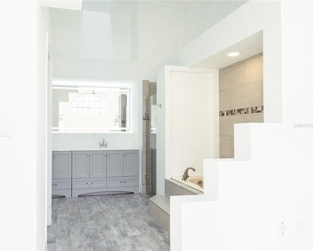 bathroom featuring vanity and independent shower and bath