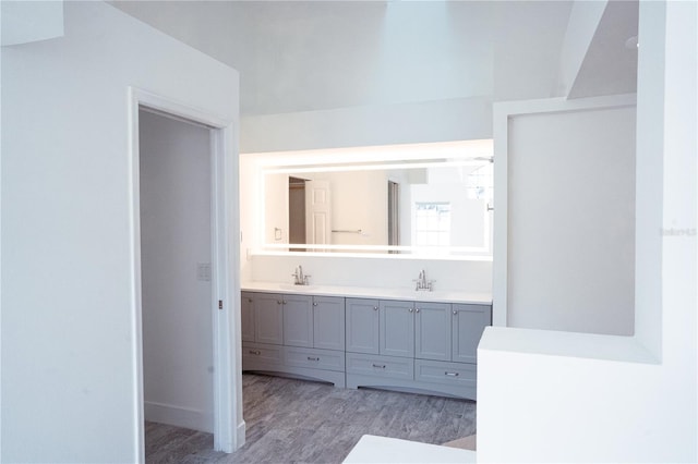 bathroom with vanity and hardwood / wood-style flooring