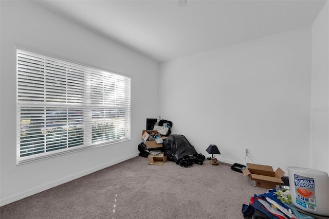 miscellaneous room with carpet flooring