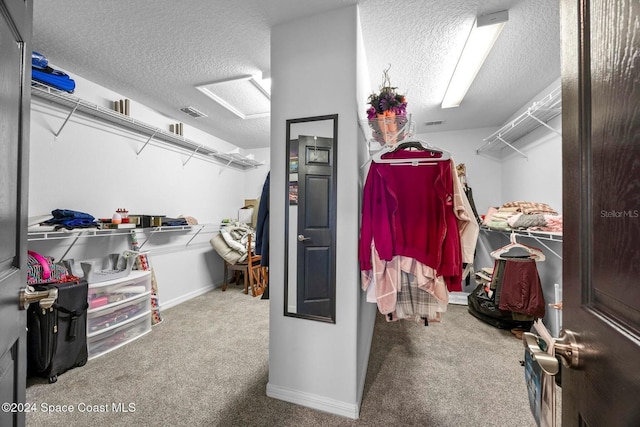 walk in closet with carpet floors