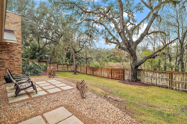 view of yard with a patio area