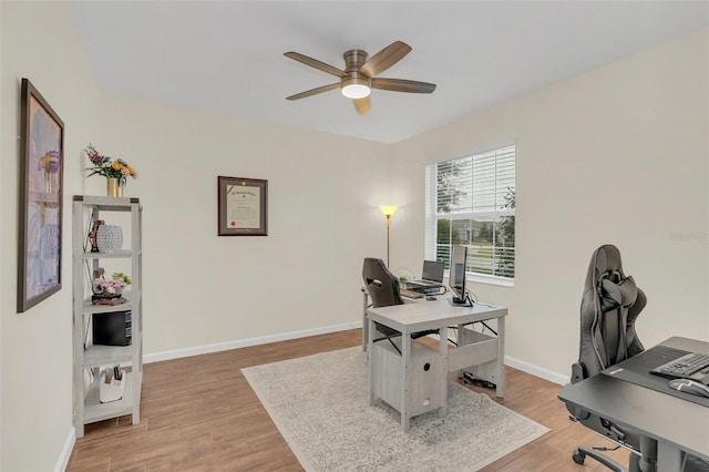 home office with ceiling fan and light hardwood / wood-style flooring