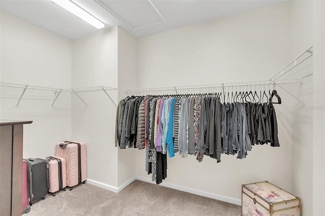 walk in closet featuring carpet flooring