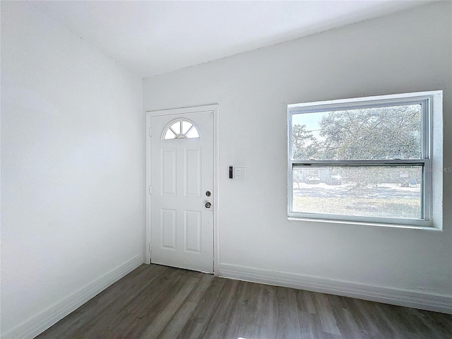 foyer entrance with plenty of natural light and dark hardwood / wood-style floors