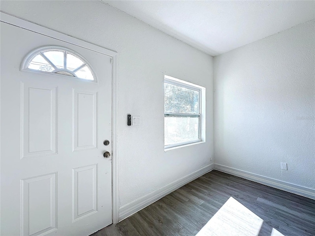 foyer featuring dark wood-type flooring and a healthy amount of sunlight