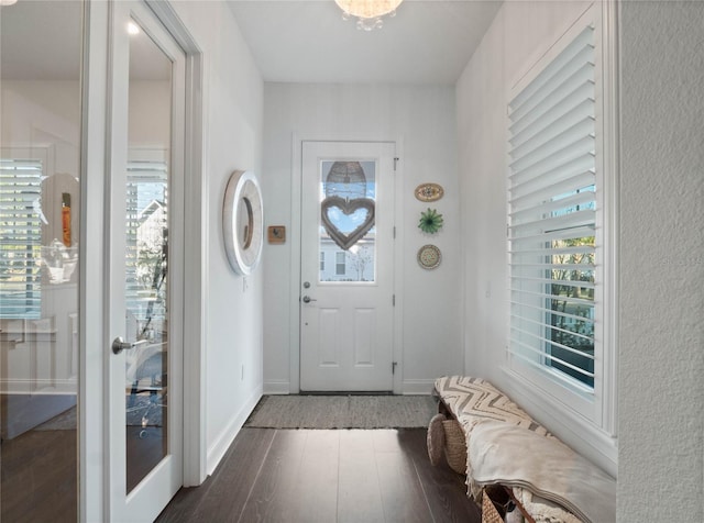 foyer entrance featuring dark hardwood / wood-style floors and a wealth of natural light