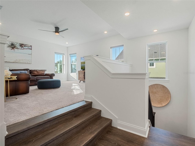 staircase featuring wood-type flooring and ceiling fan