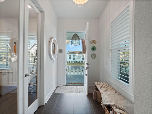 doorway to outside featuring a healthy amount of sunlight and dark wood-type flooring