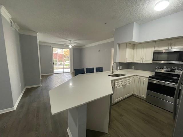 kitchen with dark hardwood / wood-style flooring, sink, stainless steel appliances, and kitchen peninsula