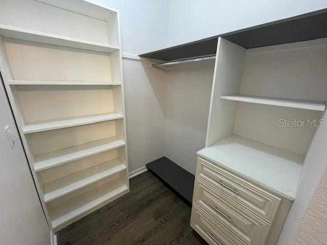 walk in closet featuring dark wood-type flooring