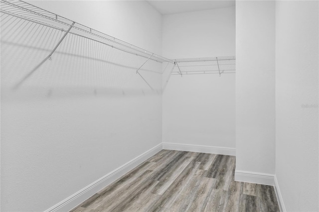 walk in closet with hardwood / wood-style flooring