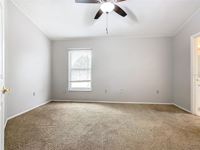 spare room with ceiling fan and carpet floors