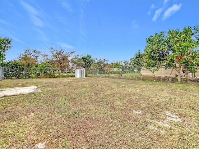 view of yard with a storage shed