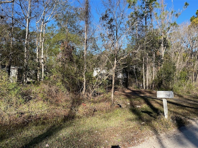 view of road