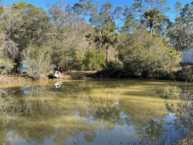 view of water feature