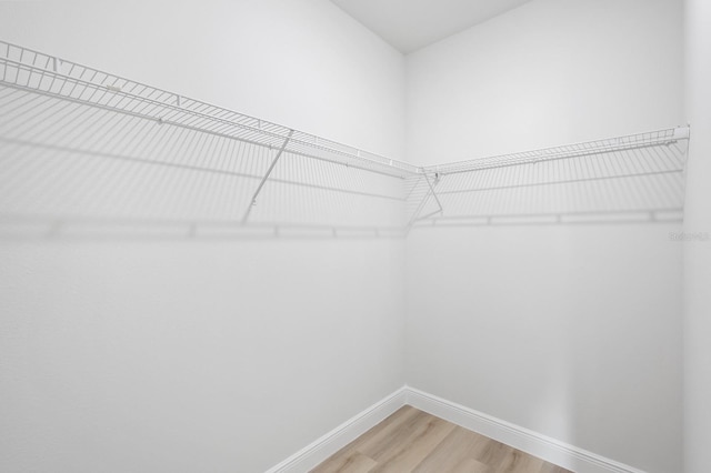 walk in closet with hardwood / wood-style flooring