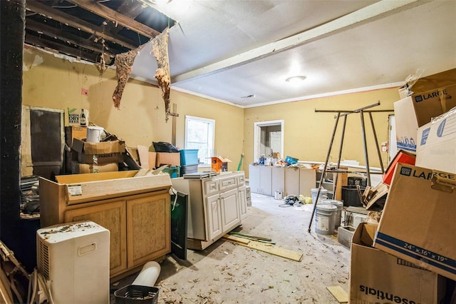 miscellaneous room featuring ornamental molding