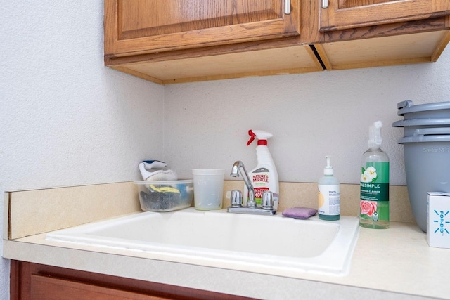 interior details featuring sink