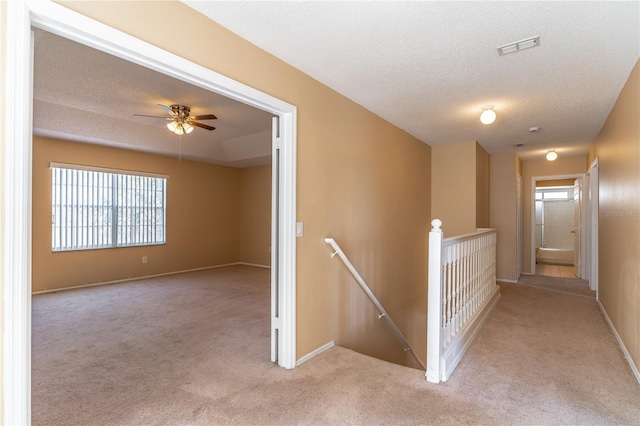 hall with light carpet, a wealth of natural light, a raised ceiling, and a textured ceiling