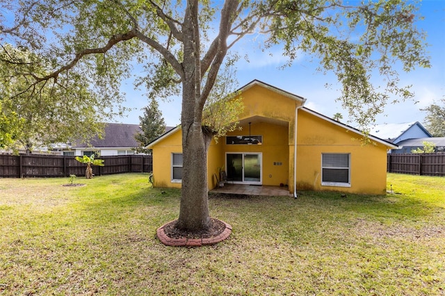 back of house featuring a patio and a yard