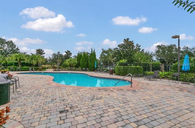 view of pool with a patio area