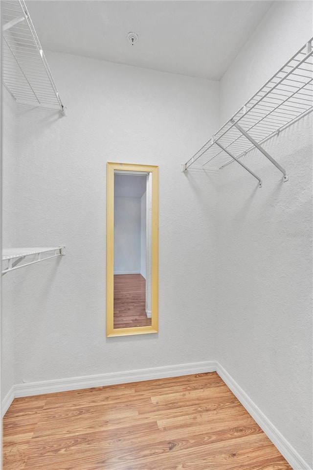 walk in closet featuring hardwood / wood-style floors