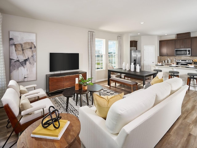 living room featuring light hardwood / wood-style floors