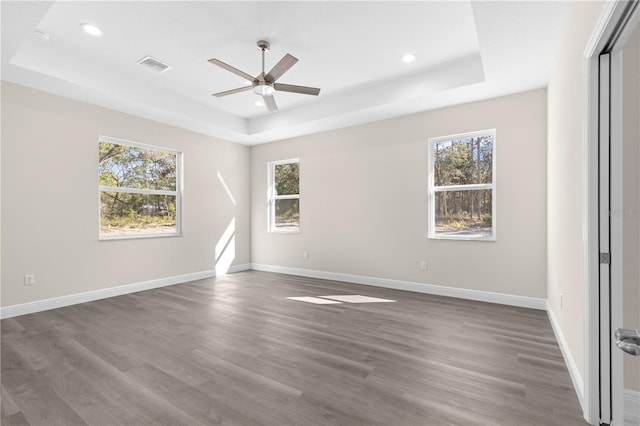 spare room with a tray ceiling and a healthy amount of sunlight