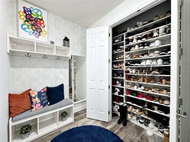 mudroom featuring hardwood / wood-style floors