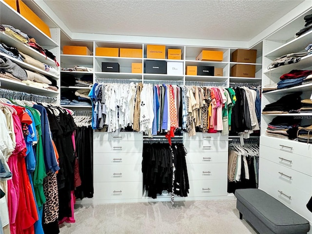 spacious closet with light colored carpet