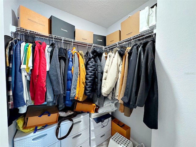 view of walk in closet