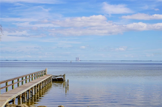 dock area with a water view