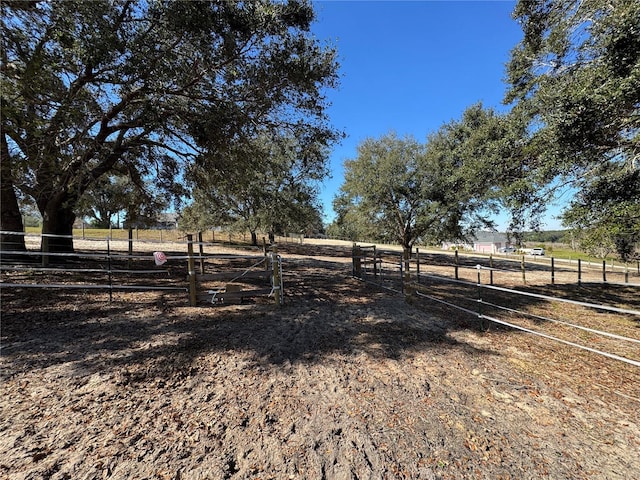 view of yard featuring a rural view